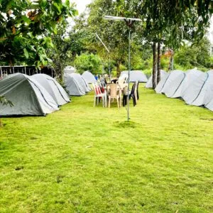 Pawna lake camping + Live Singing  Tent+Activities+ Night camp