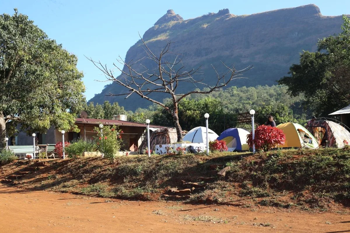 pawna lake premium camping