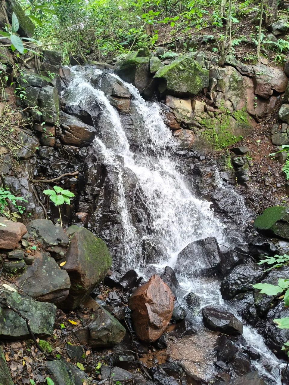 Pawna Mountain Resort ​ - Image 6